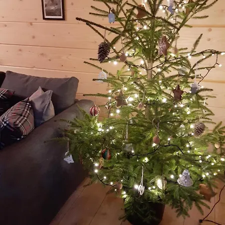 Góralska Przy Dolinie Chochołowskiej Apartamento Witów