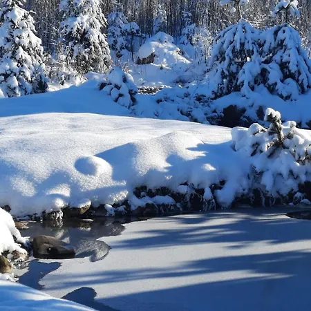 Goralska Przy Dolinie Chocholowskiej - Goraca Balia アパート *