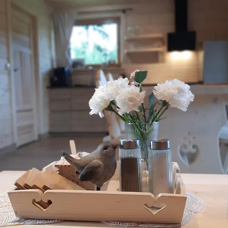Appartement Goralska Przy Dolinie Chocholowskiej - Goraca Balia