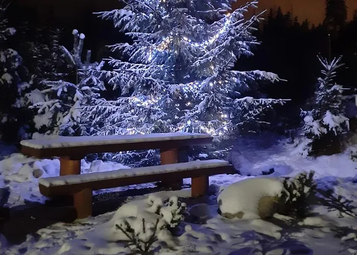 Góralska Przy Dolinie Chochołowskiej * Witów