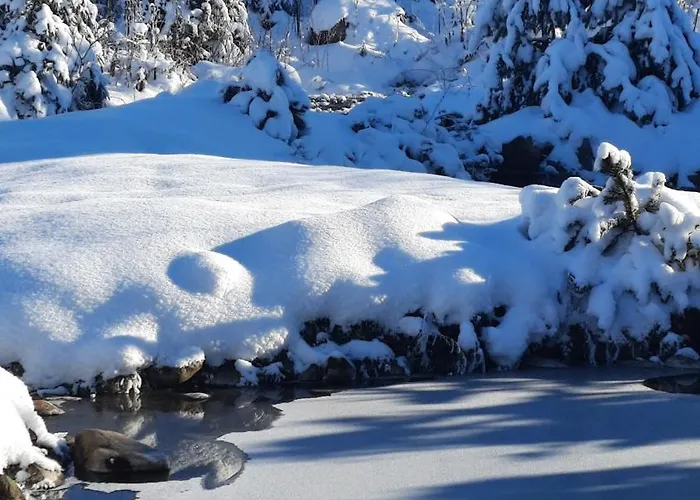 Góralska Przy Dolinie Chochołowskiej Apartamento *