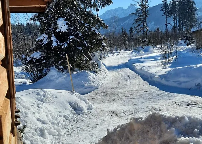 Góralska Przy Dolinie Chochołowskiej * Witów